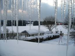 Prévention contre le gel : les gestes à adopter<br />
